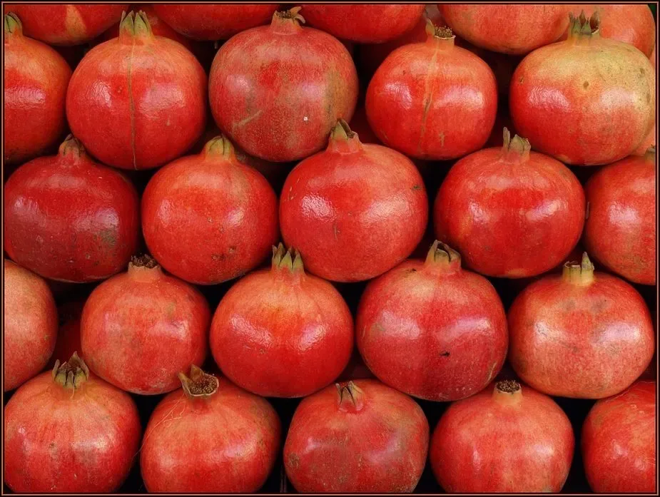 تصویر 1 از خرید و قیمت انار مرغوب + فروش عمده
